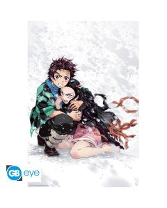 Demon-Slayer-Tanjiro-Nezuko-Snow-915x61-Poster-1