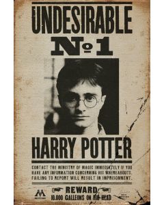 Harry-Potter-Undesirable-No-1-915x61-Poster-1