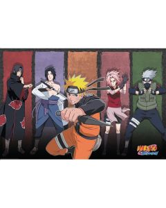 Naruto-Shippuden-Naruto-Verbuendete-915x61-Poster-1