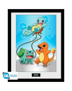 Pokemon-Kanto-Starter-30x40-Rahmenbild-1