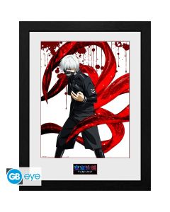 Tokyo-Ghoul-Ken-30x40cm-Bilderrahmen-1