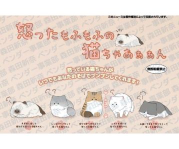 PREORDER - Irritated Fluffy Meowment - Gashapon Bag