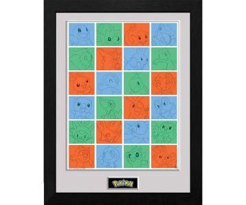 Pokemon-Starter-Pokemon-Raster-Gerahmtes-Bild-1